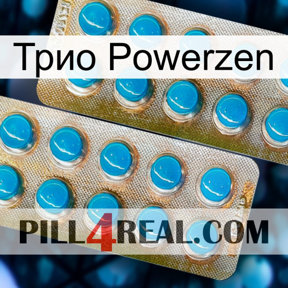 Трио Powerzen new08.jpg